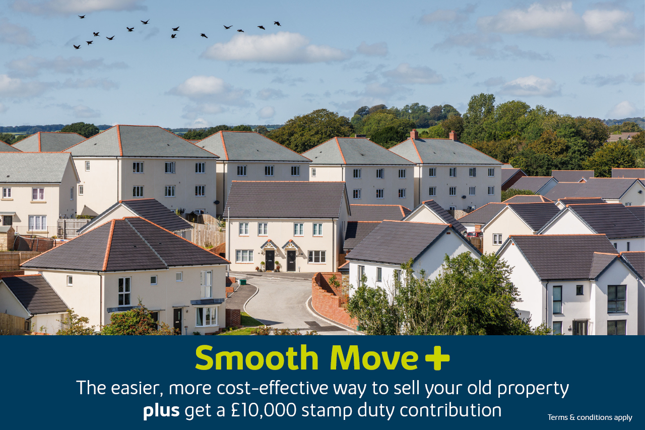 The Tors New Homes in Tavistock for Sale, New Build Houses in